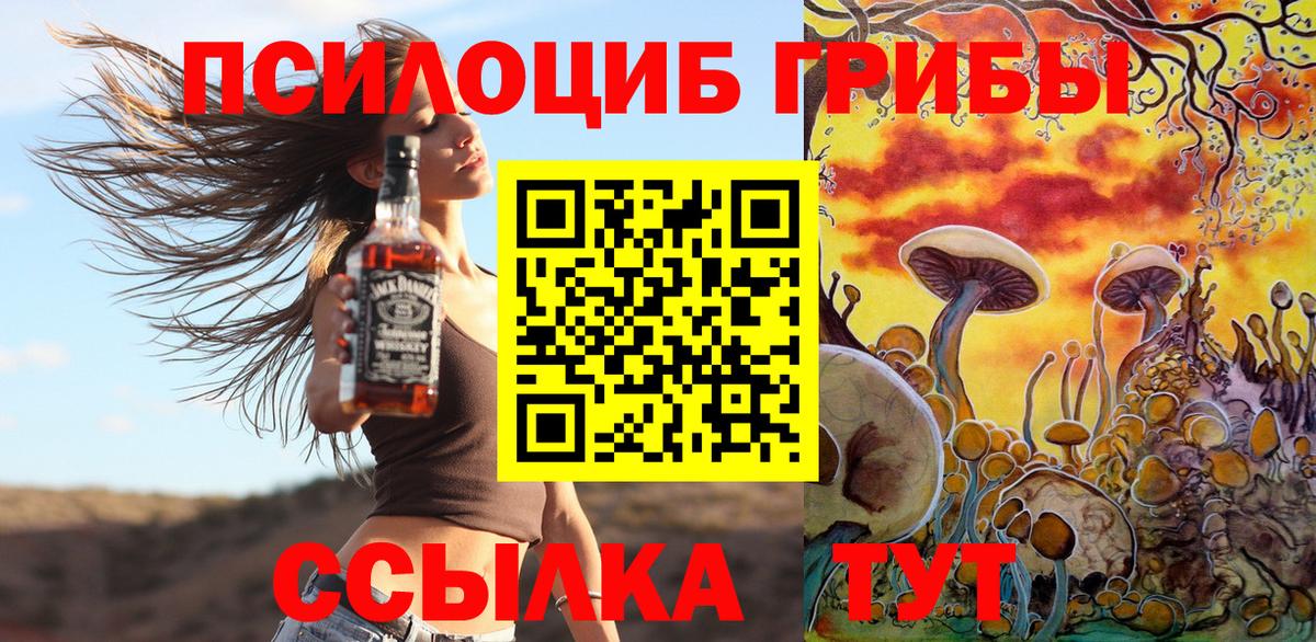 Псилоцибиновые грибы мухоморы  Вход с VPN  Баксан 